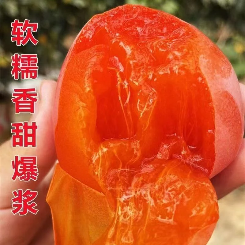 正宗陕西富平流心大尖柿子软柿子当季新鲜水果
