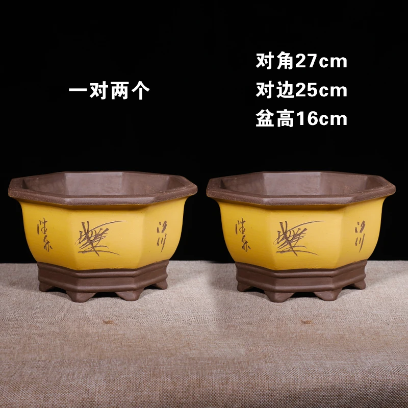 八角紫砂花盆陶瓷特大号蝴蝶兰发财树花盆种树专用阳台绿萝专用