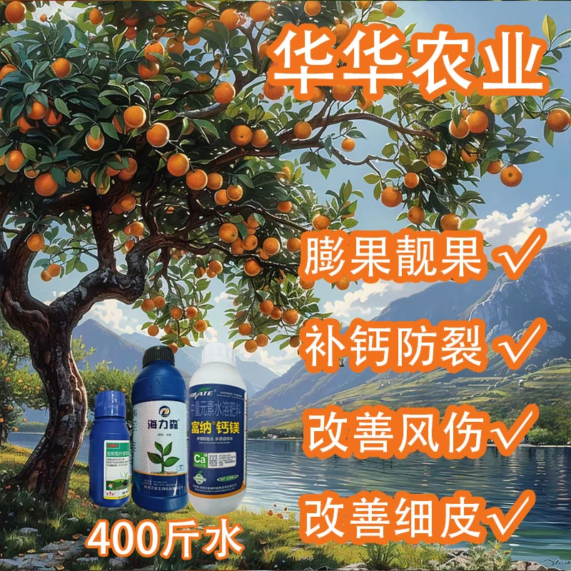【华华农业】 400斤水  柑橘拉皮膨果方案  改善粗皮日灼果减少裂果