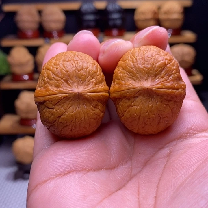 木质类云铁龙眼57号