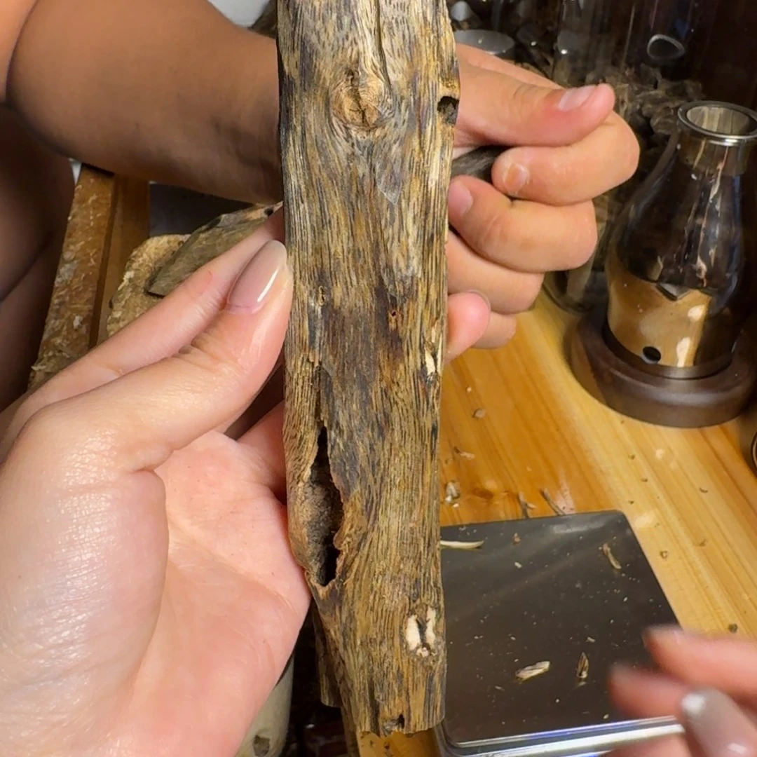 沉香白奇陆河品种虫漏香48克