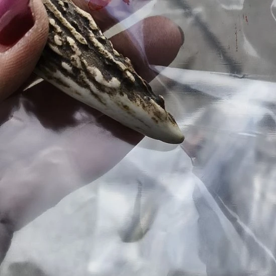 F***l鹿角鹿角鹿角鹿角鹿角鹿角