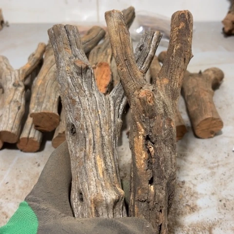 大果紫檀（缅甸花梨）零**人