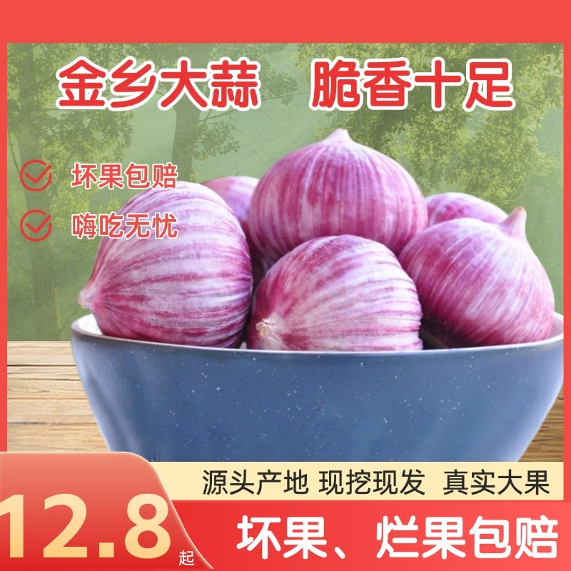山东金乡5斤紫皮大蒜头新鲜饱满农家自产一级蒜批发