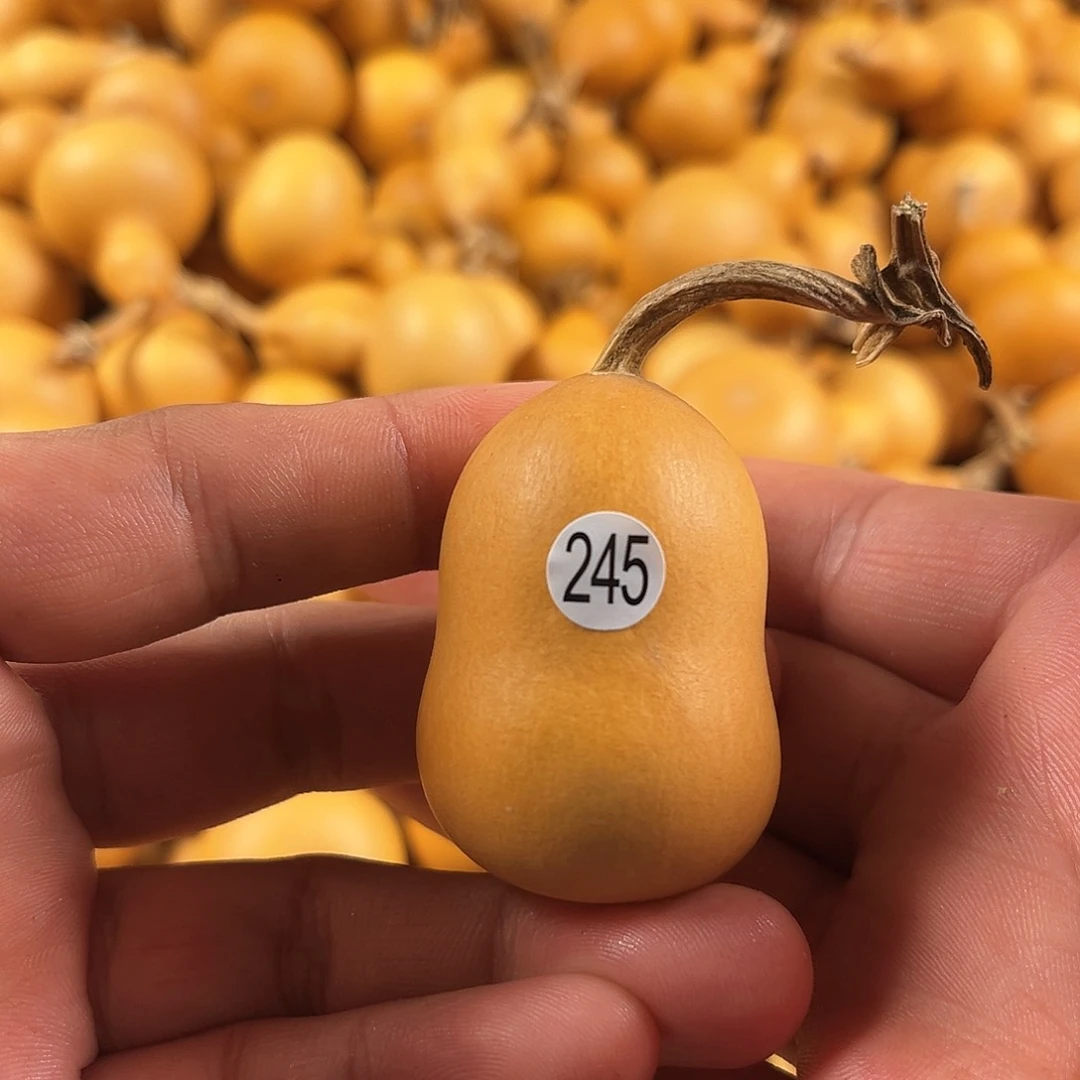 四葫芦葫芦葫芦葫芦245