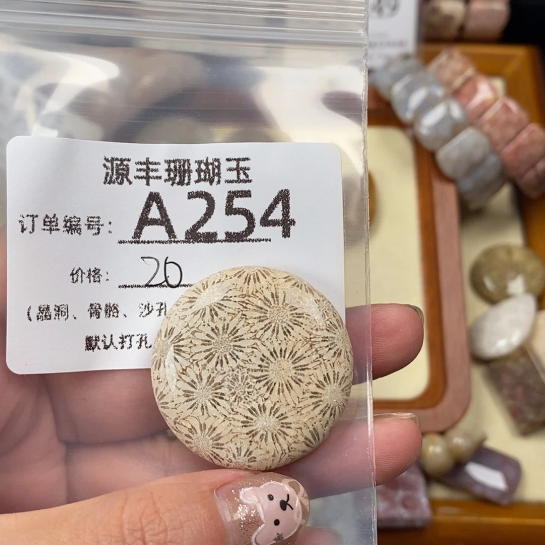 捡****未镶嵌颈饰硅化玉