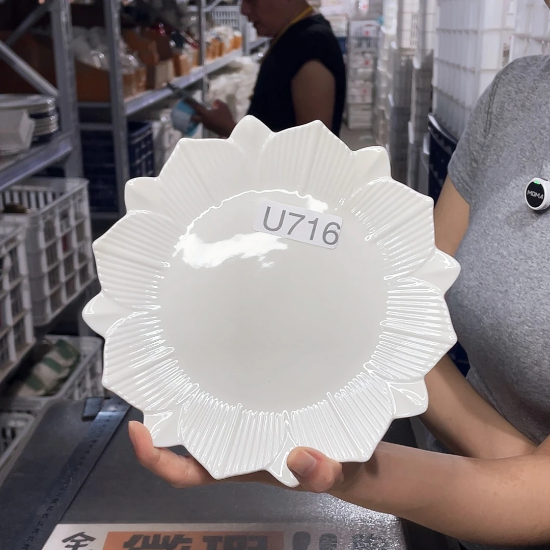 瓷片716             2个