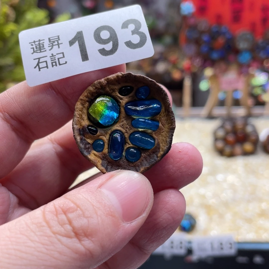 核桃木/黑胡桃（胡桃木）193