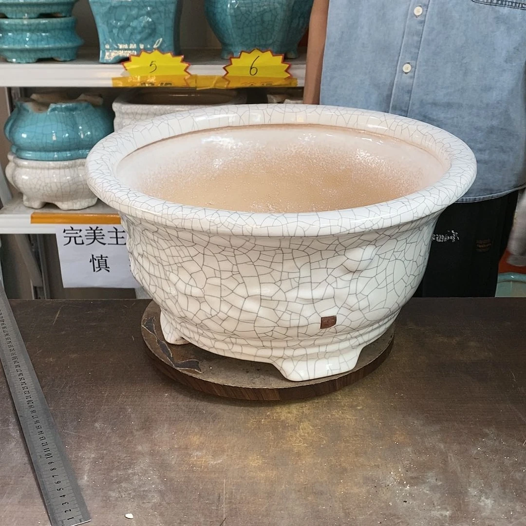 J****)花盆花盆里的花