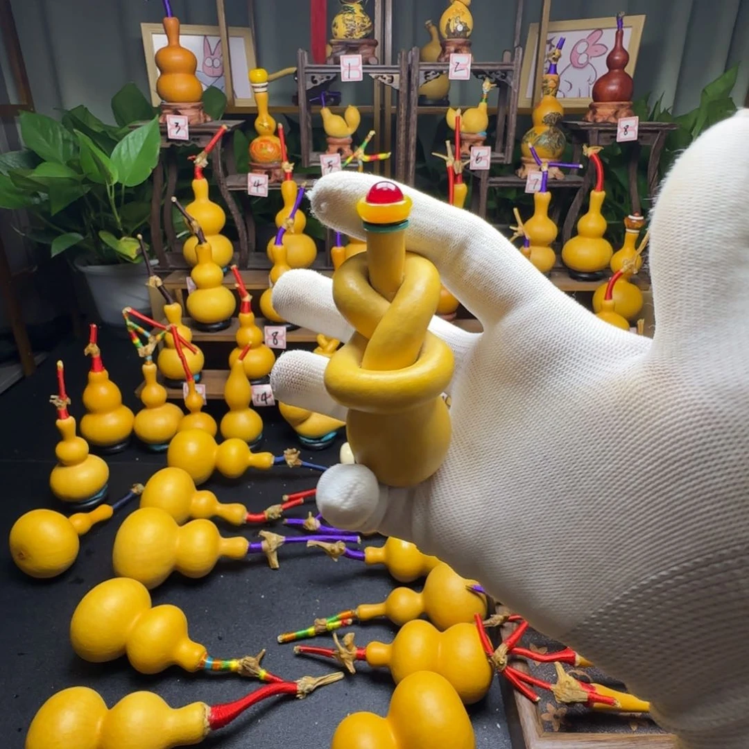 木***木才VBvc重新VV重新学习学习