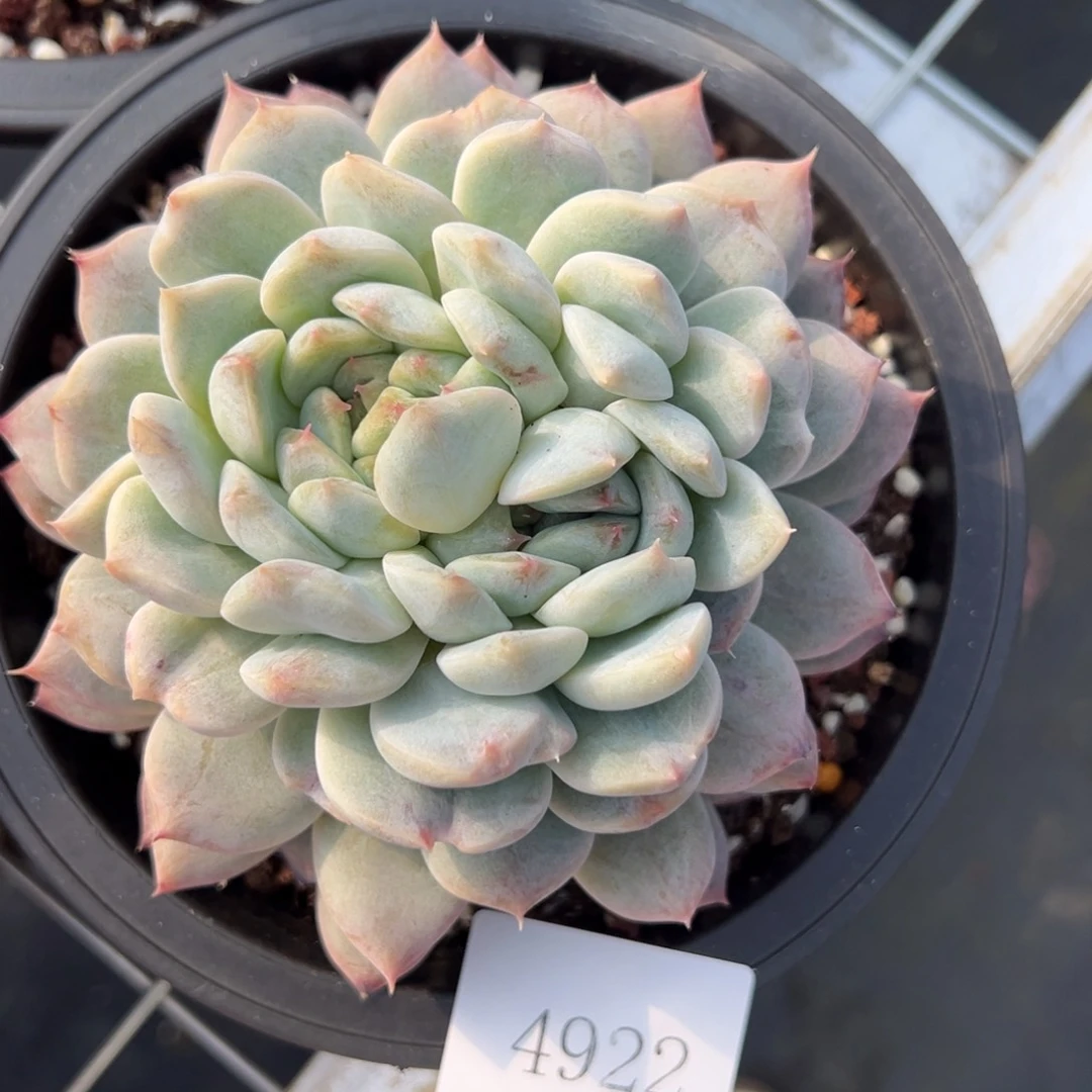 ௸****4922肉肉肉肉肉肉肉肉