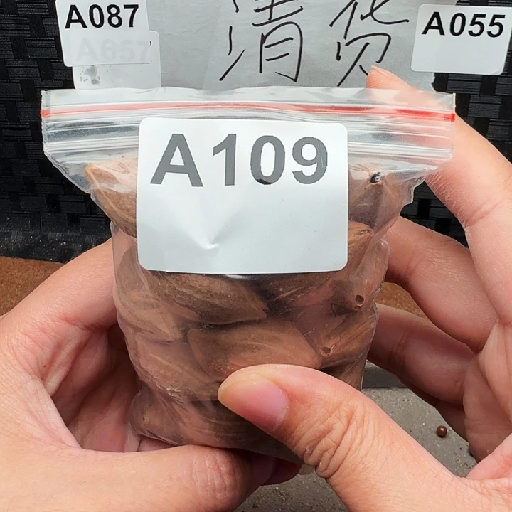 手串/手链橄榄核橄榄