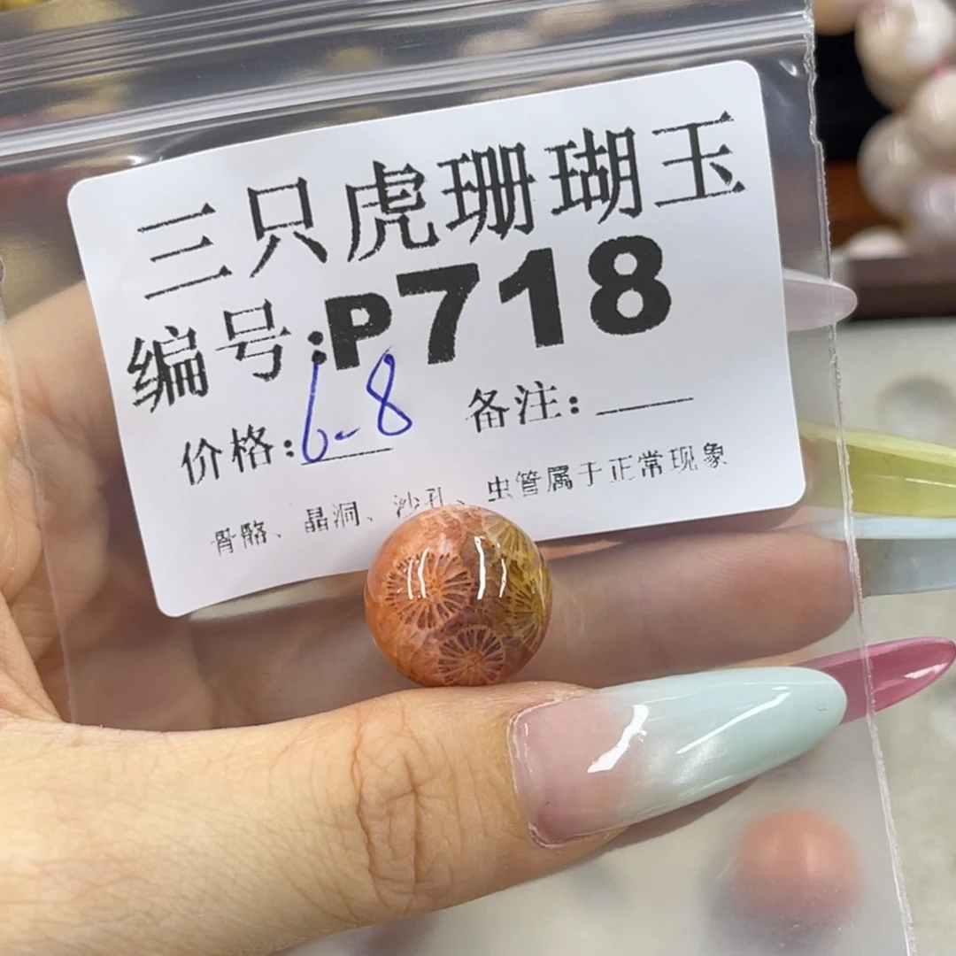 G***.硅化珊瑚（珊瑚玉）h未镶嵌