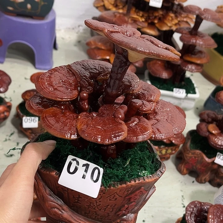 全部花朵8888888888888888