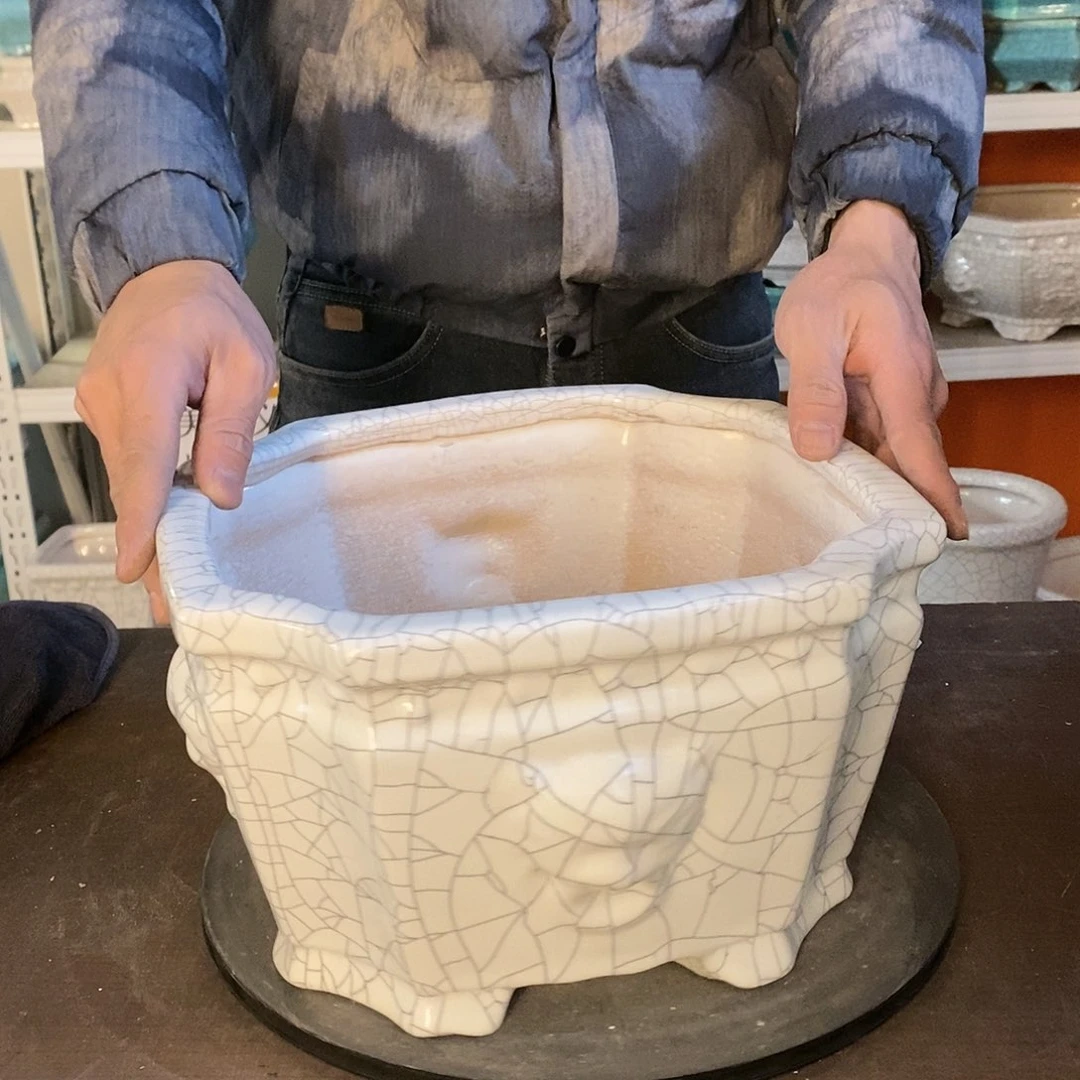 花盆花盆里放满鲜花