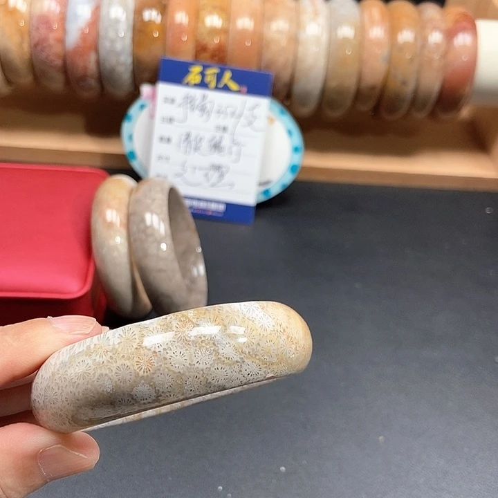 硅化珊瑚（珊瑚玉）未镶嵌颈饰