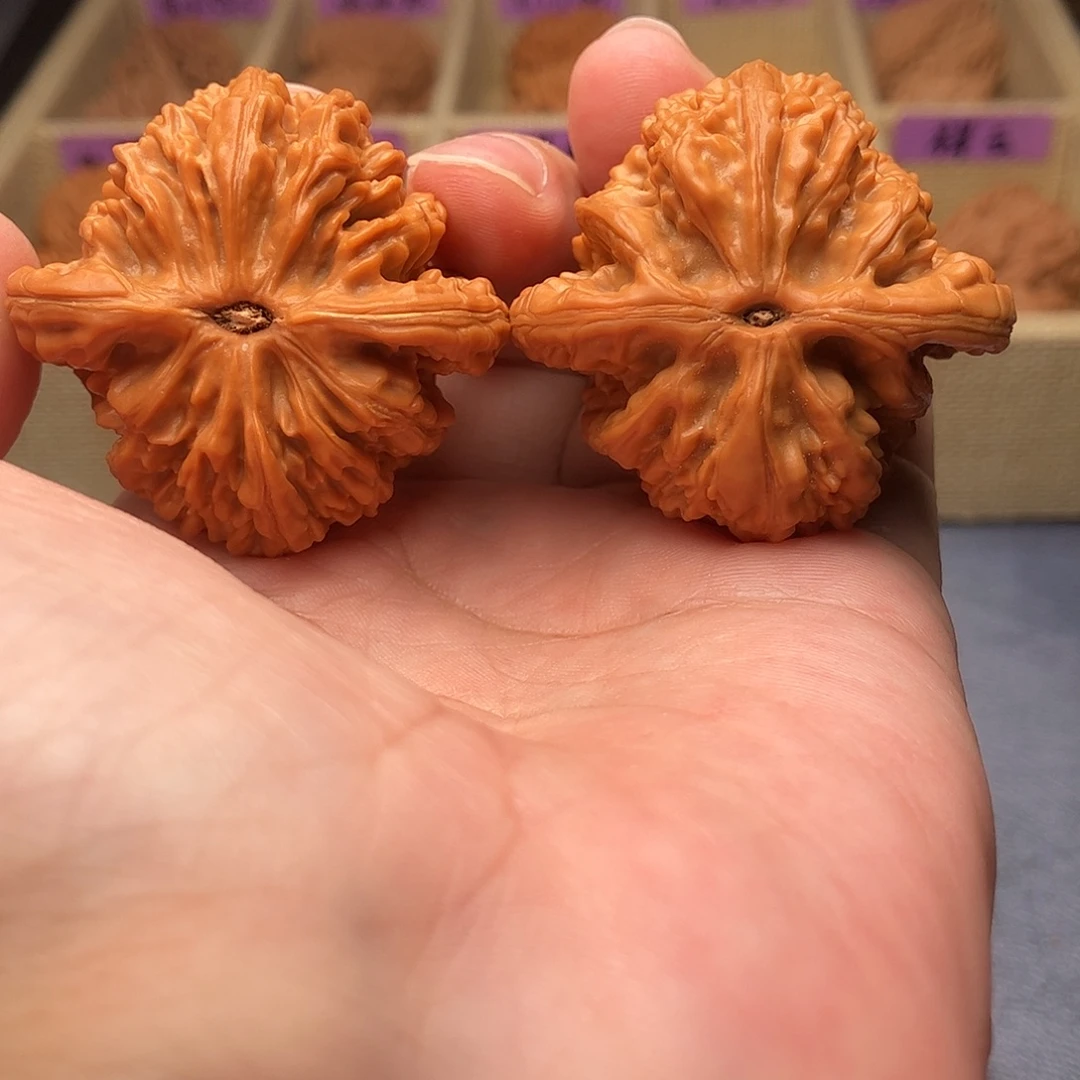 舍***7文玩核桃把件虎头王