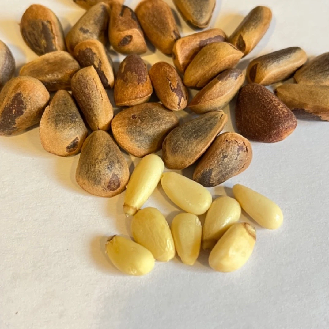 东北松子大颗粒开口原味非油炸坚果小零食红松子熟松子开口松子