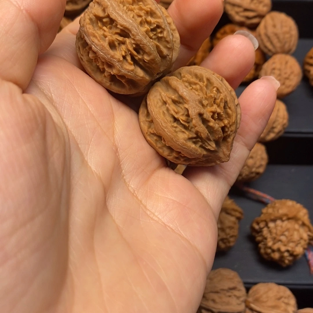 核桃手串/手链秦岭南北缘至西南的