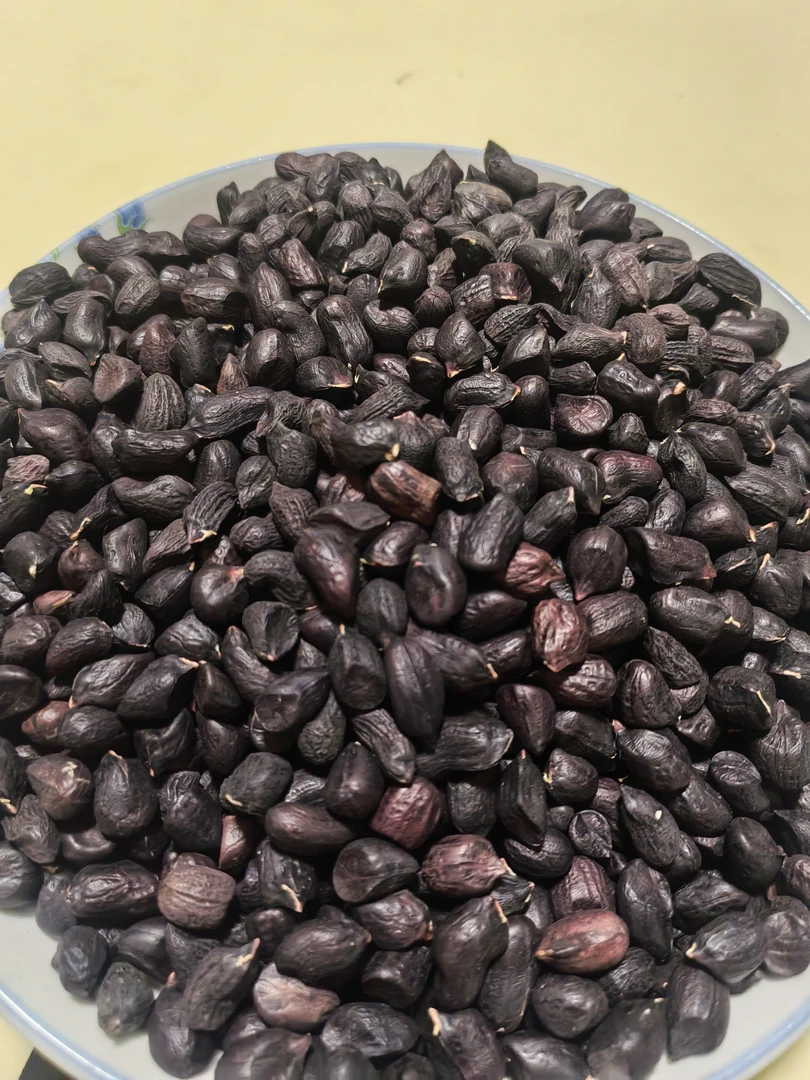 墨江野地生态黑花生，新花生（无壳）