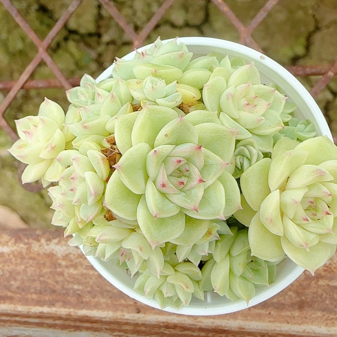 1103-25（ppt-31）优选