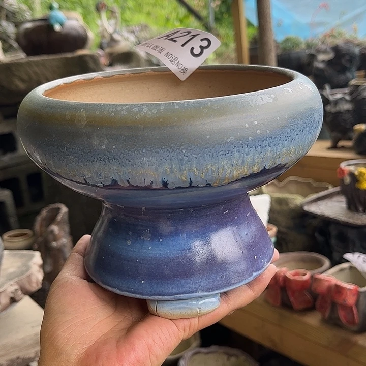 不知道是怎么说都213