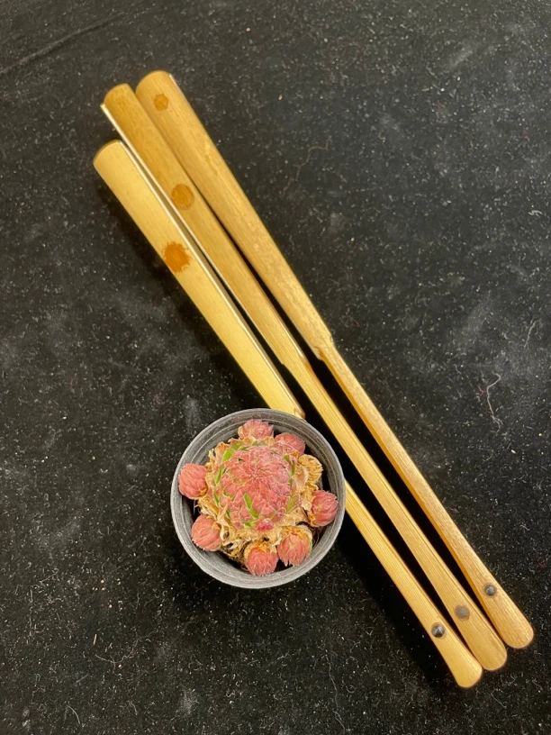 武夷山红香妃—施月秀，戴泽青精制—秋扇