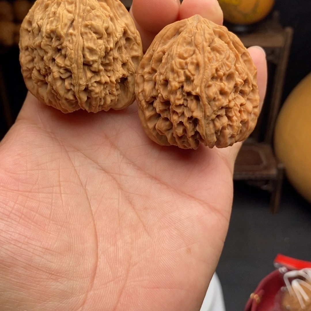 9大尺寸双色高炮顺歪有黄