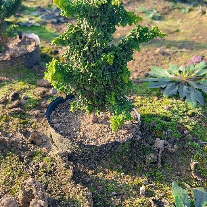 X14;()&@@)(;()&@(((&