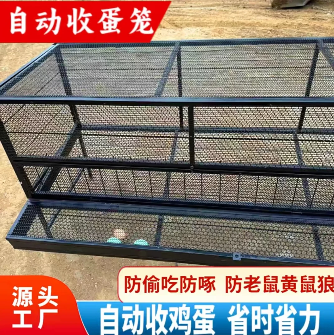 下蛋母鸡笼滚蛋视频鸡笼啄蛋笼户外防护笼鸡笼子老鼠鸡舍家用鸡棚