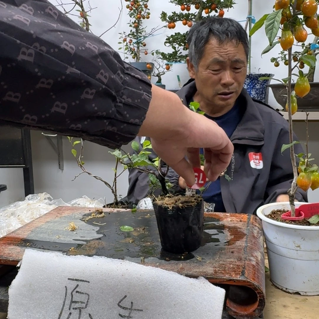 负***）无花朵759顺丰到付不包邮