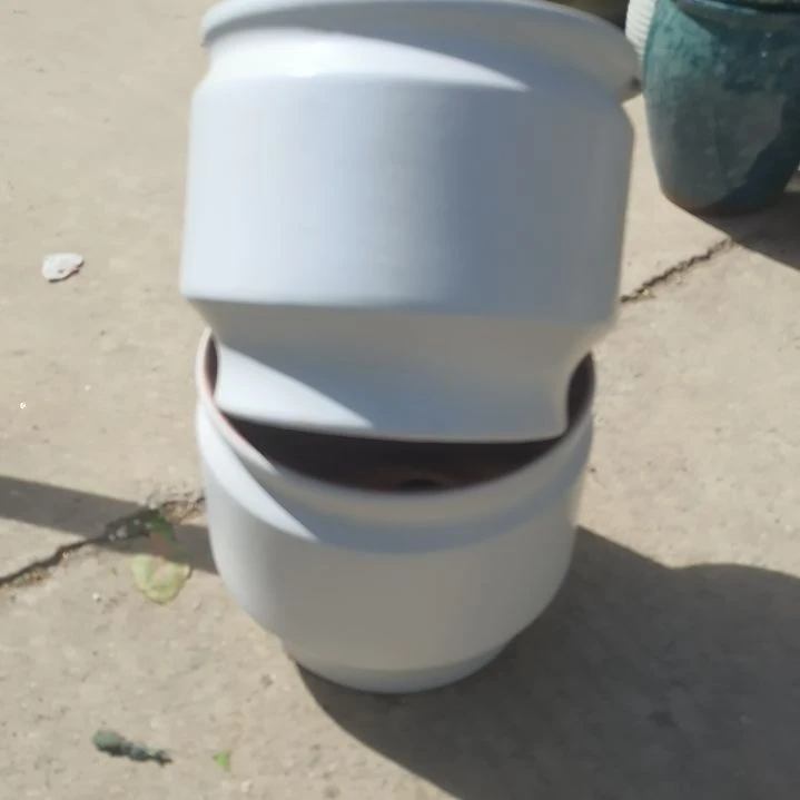 21/18微瑕两个盆子