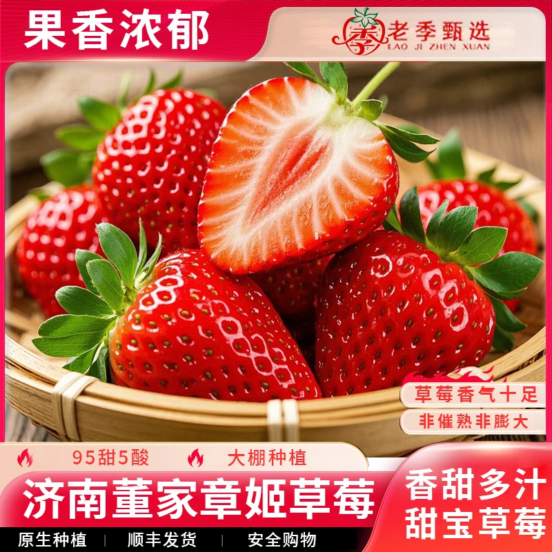 山东济南章姬大草莓粉玉奶油草莓新鲜红颜草莓鲜甜情人节草莓礼盒