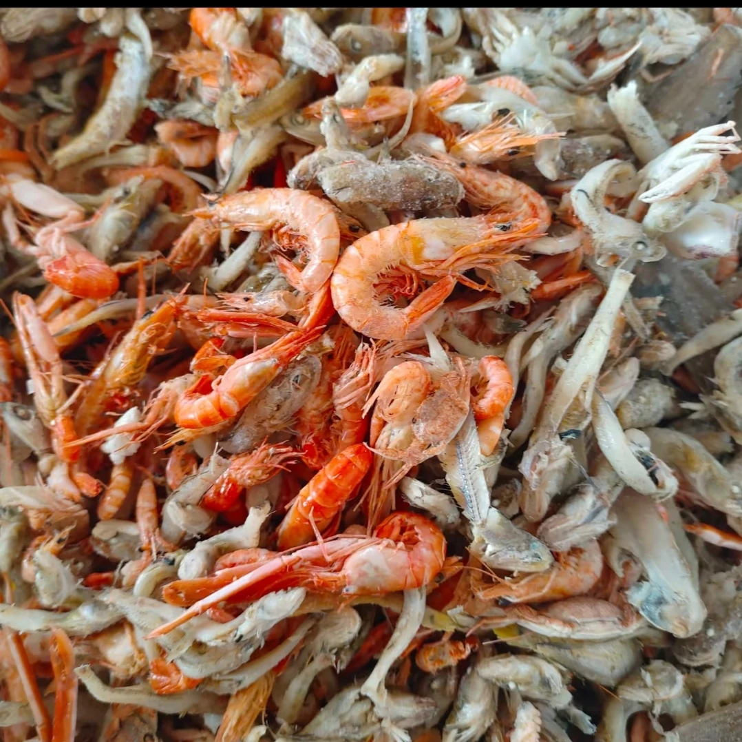 小油光鱼小海虾混合