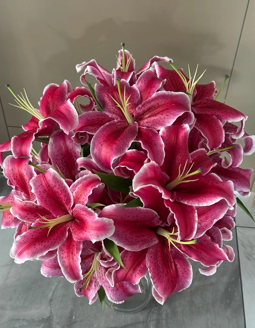 云南昆明基地直发真花水养鲜花花束香水百合批发水培水养花卉