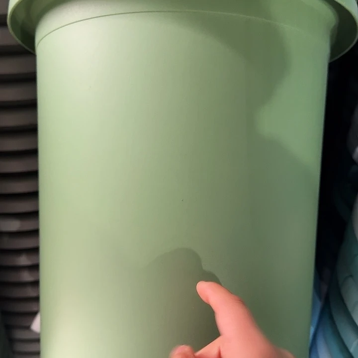 四季7号新绿色无托10个口33