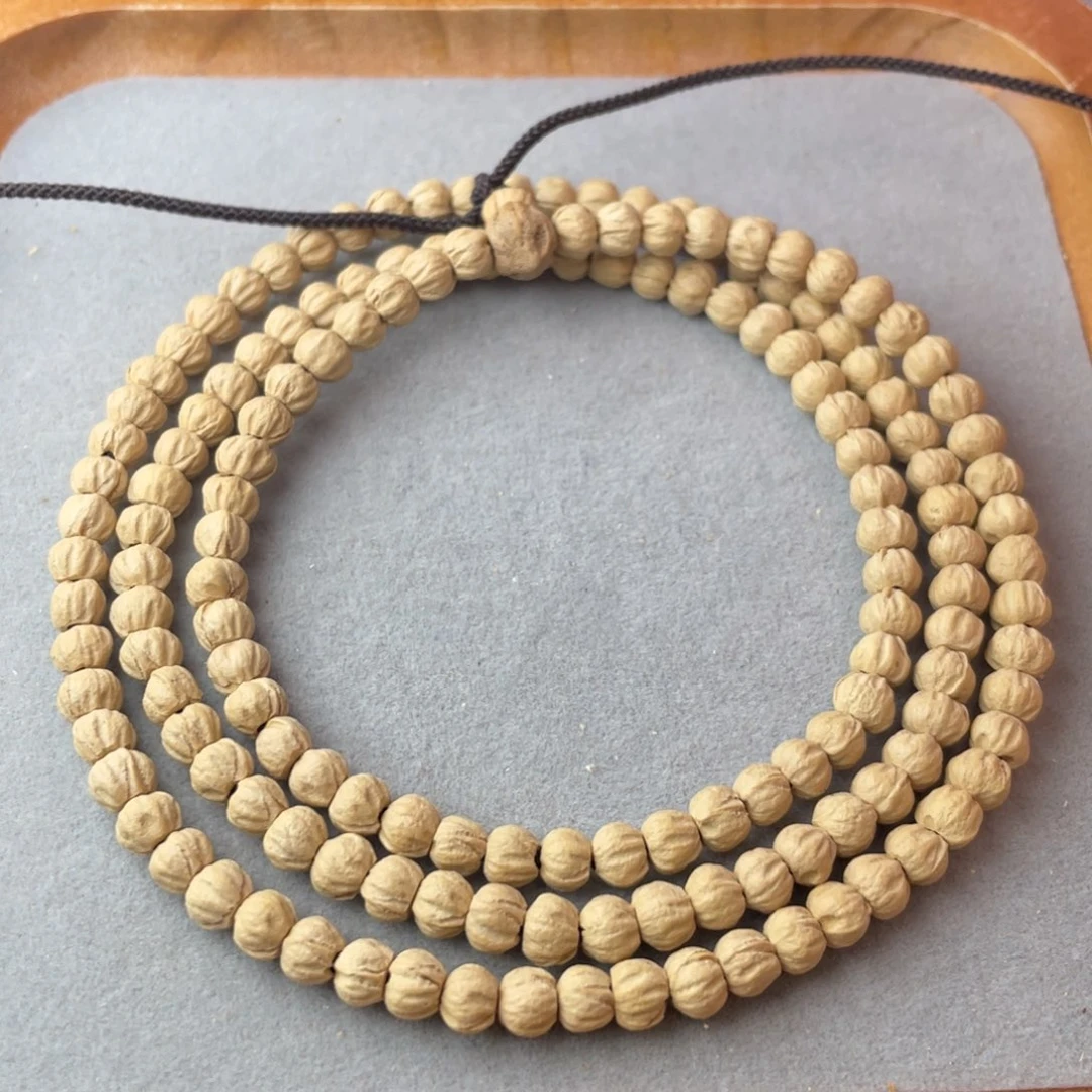 百香籽 小金豆 5小加