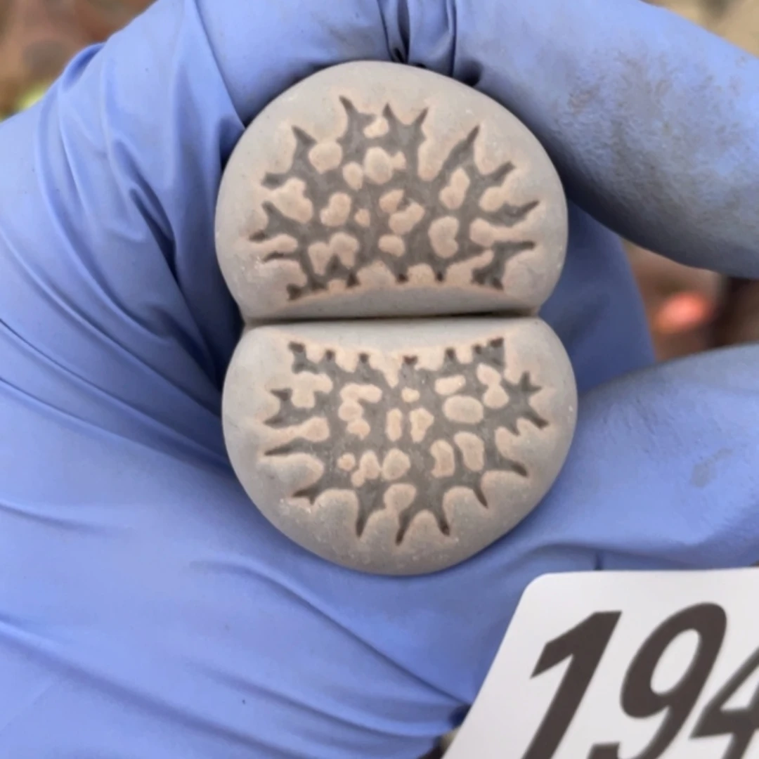 ****a非偏远满20包邮194