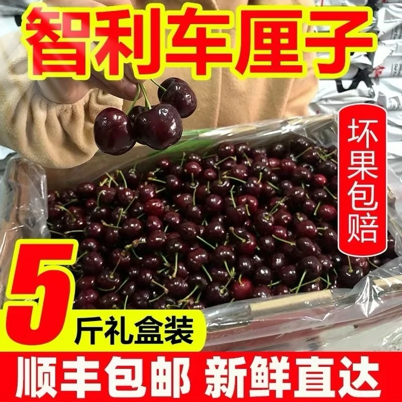 【顺丰现货】智利车厘子 空运黑珍珠J-4J级5斤礼盒装内附果径卡