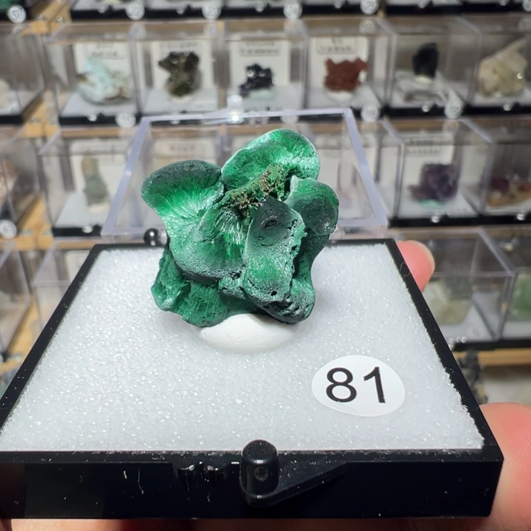 大型摆件（非配饰）银S925镶嵌紫晶