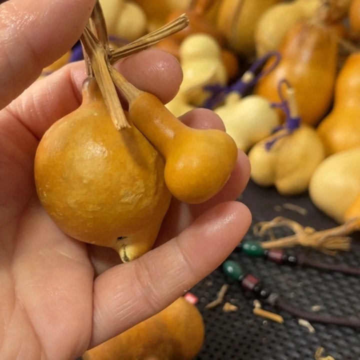 A***主葫芦哈哈哈哈哈哈哈哈哈哈哈哈