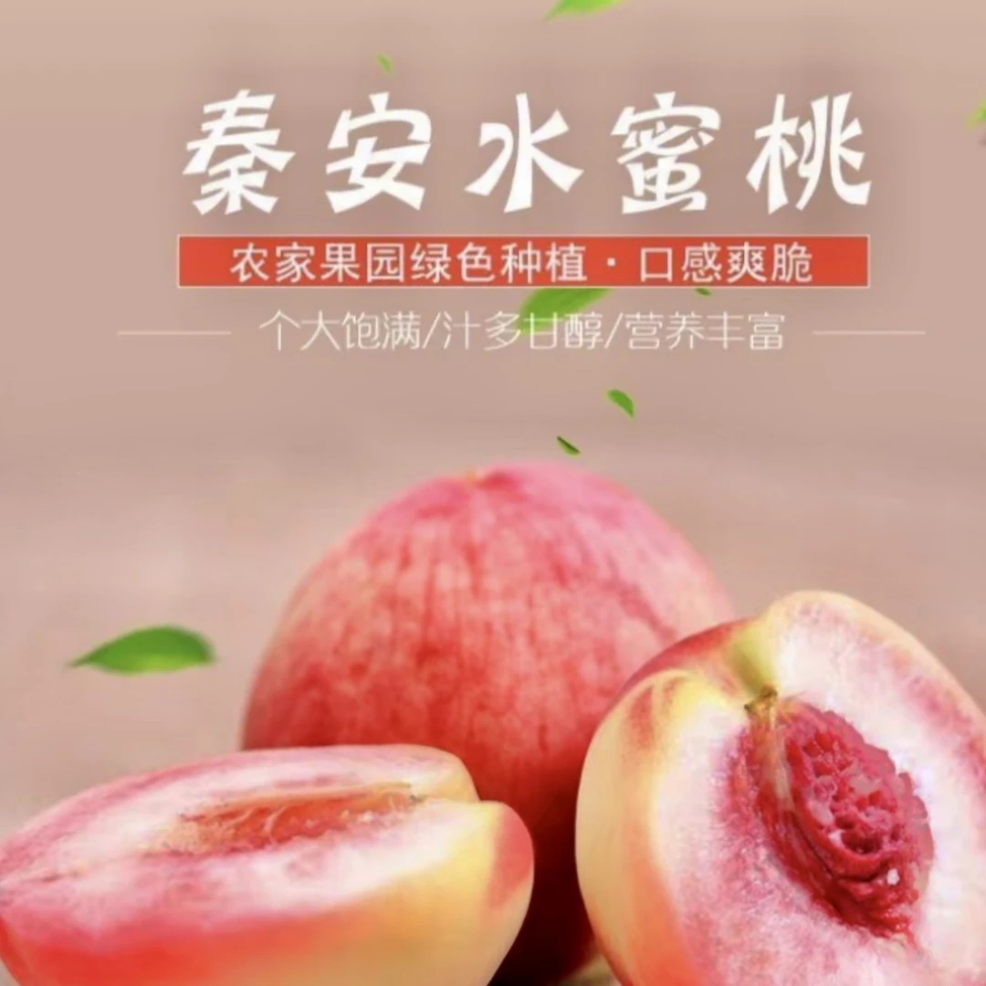 （省外）甘肃秦安北京七号水蜜桃新鲜现摘鲜甜多汁当季应季水果