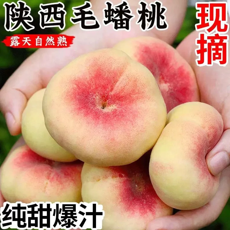 【毛蟠桃】陕西王母奶油蟠桃新鲜水果扁蜜桃当季现摘毛桃
