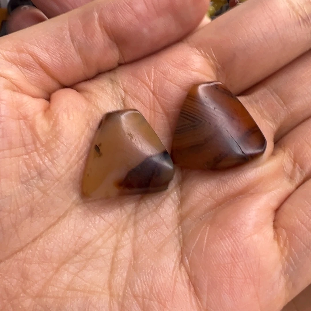 太***坎直发专拍专用链接