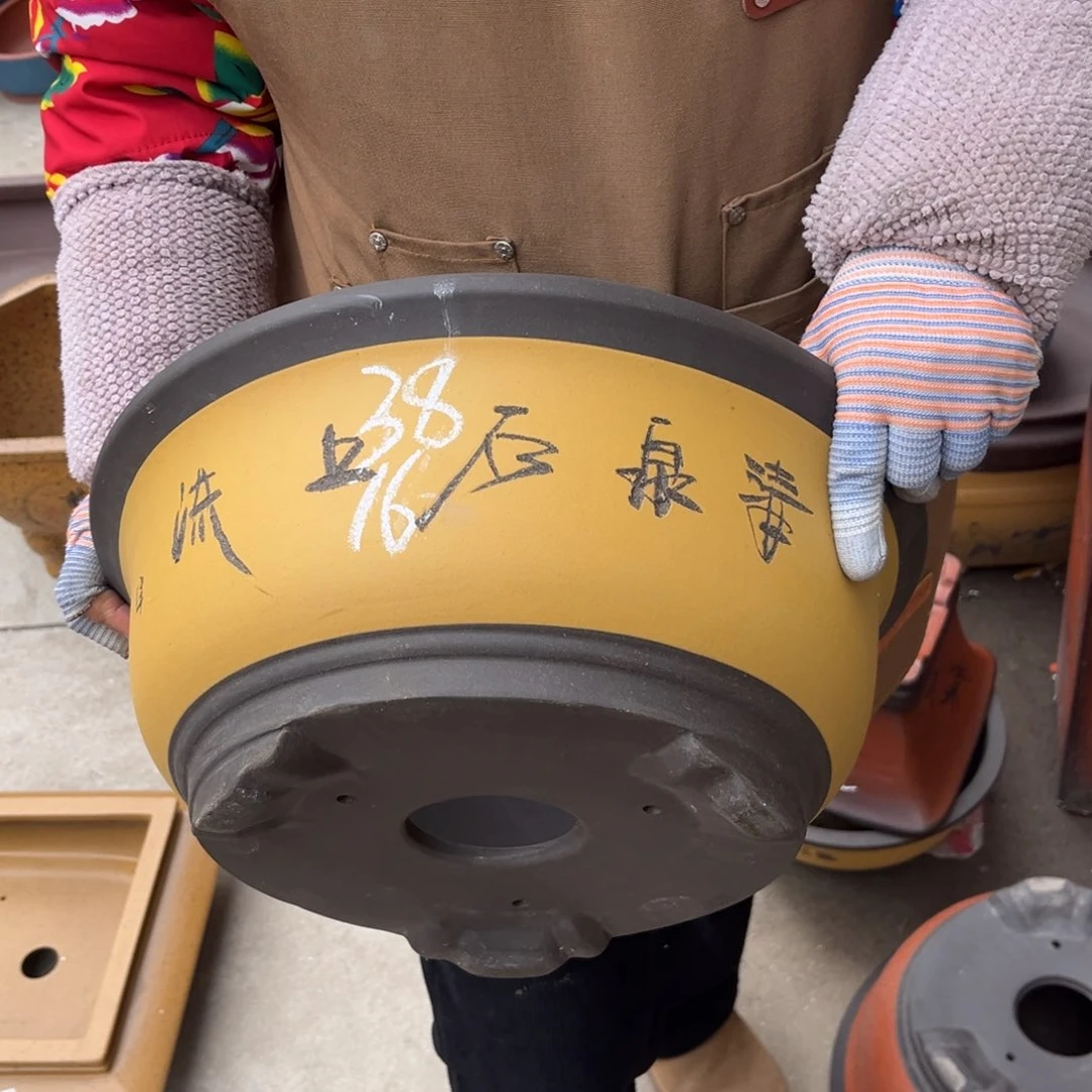 紫砂花盆盆景艺术