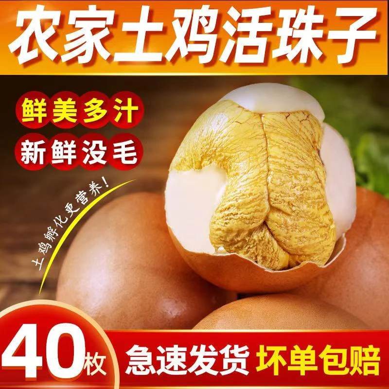 【活珠子赠蘸料】十三天新鲜土鸡蛋活珠子香辣味男士喝酒必备下酒菜