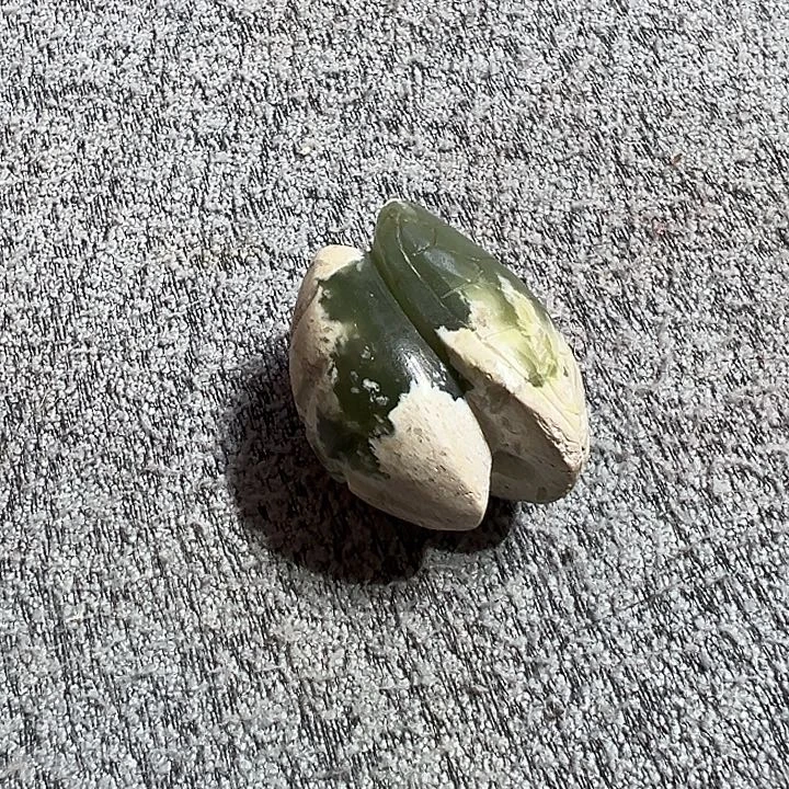 岫岩河磨玉（透闪石质玉）未镶嵌颈饰