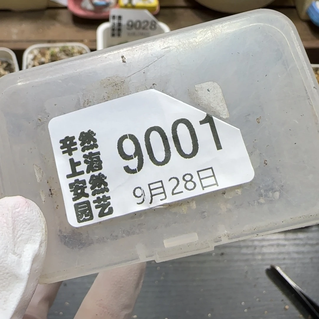 咸****9.28。  咸咸专拍。  9001