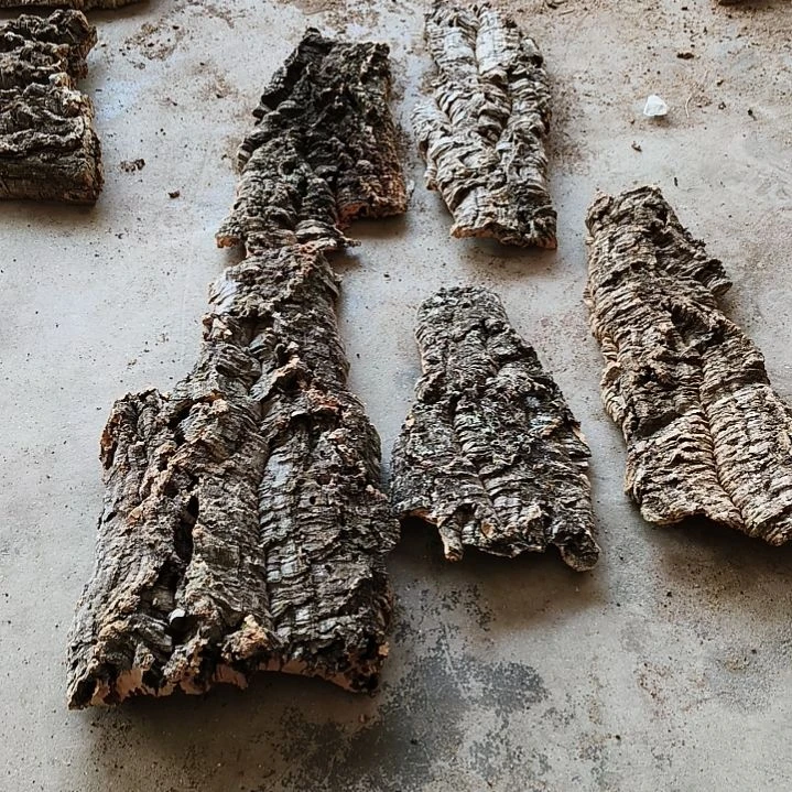 木一物一拍一物一发