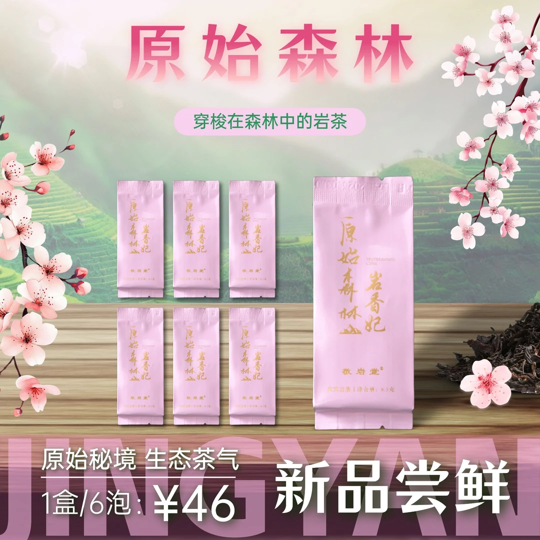 原始森林【岩香妃】香气优雅 层次丰富持久 敬岩堂武夷岩茶8.3g*6泡